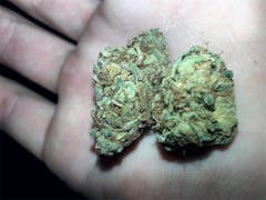 User uploaded image of Hawaiian Fire