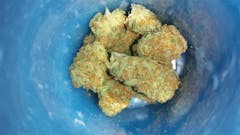 User uploaded image of Hawaiian Haze