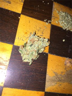 User uploaded image of Hawaiian Haze