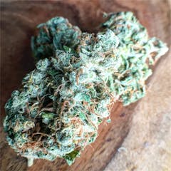 User uploaded image of Hawaiian Haze