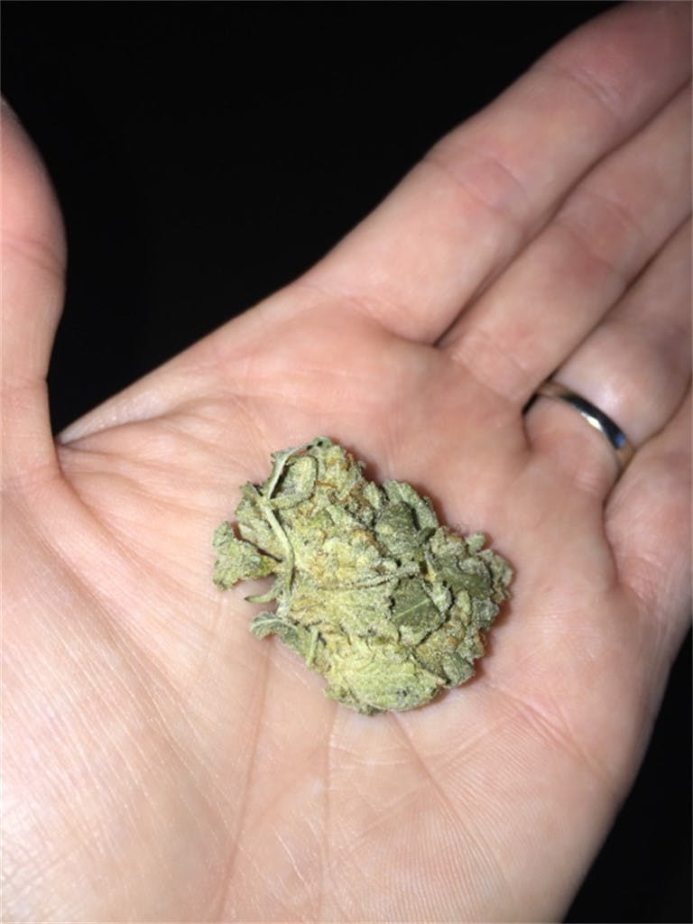 Hawaiian Punch Weed Strain Information | Leafly