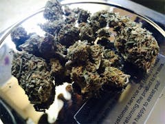 User uploaded image of Hawaiian Sativa