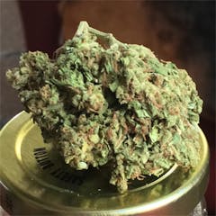 User uploaded image of Hawaiian Skunk