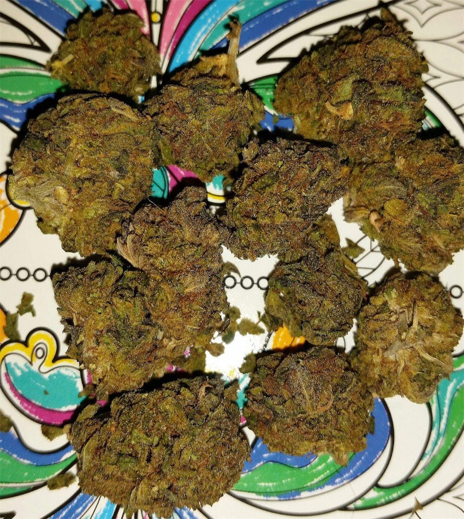 Hawaiian Skunk Weed Strain Information | Leafly