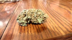 User uploaded image of Hawaiian Skunk