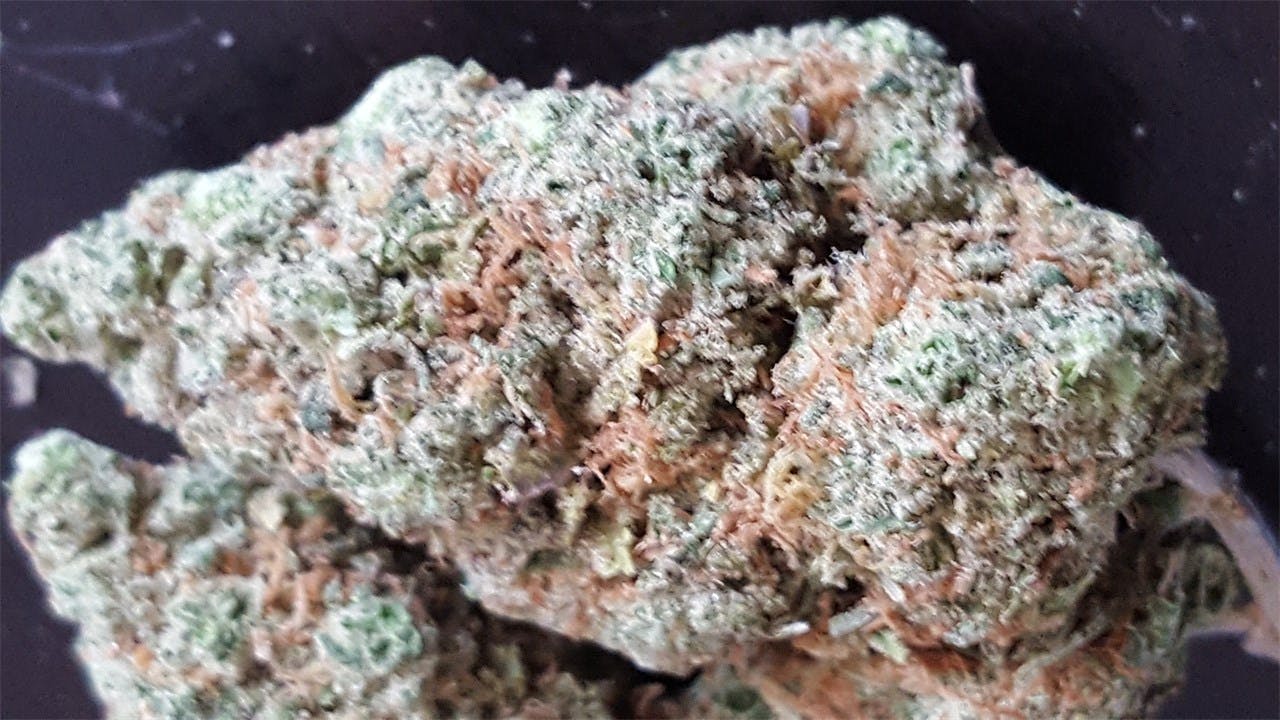 Hawaiian Skunk Weed Strain Information | Leafly