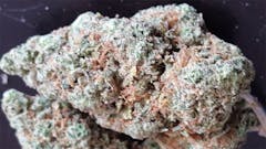 User uploaded image of Hawaiian Skunk