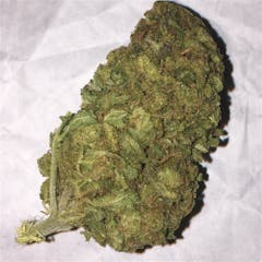User uploaded image of Hawaiian Skunk