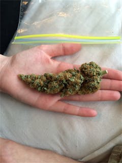 User uploaded image of Hawaiian Snow