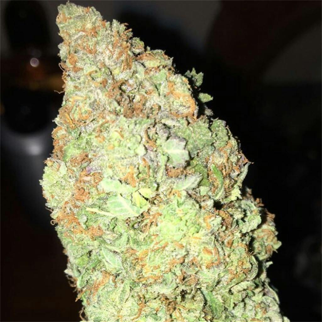 Hawaiian Sunrise Marijuana Strain Information | Leafly