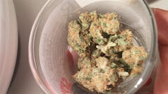 User uploaded image of Hawaiian