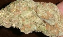 User uploaded image of Hawaiian