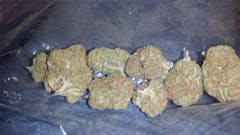 User uploaded image of Haze Heaven