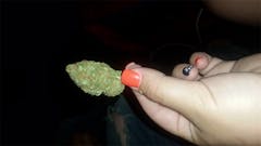 User uploaded image of Haze Heaven