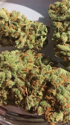 User uploaded image of Haze Wreck