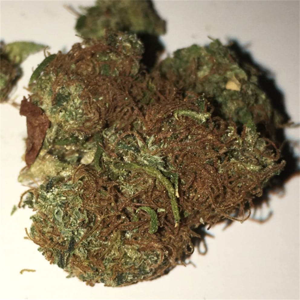 Photos of Haze Weed Strain Buds Leafly