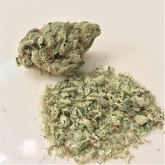 User uploaded image of Haze