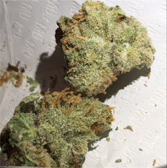 User uploaded image of Haze