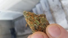 User uploaded image of Haze