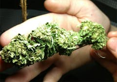 User uploaded image of Haze