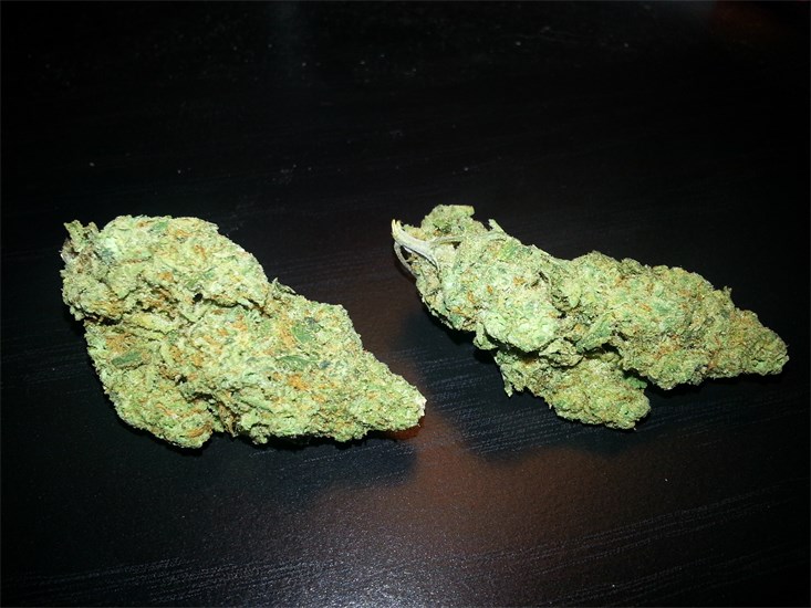 Photos Of Head Cheese Weed Strain Buds Leafly