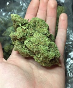 User uploaded image of Head Cheese