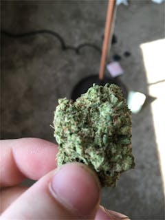 User uploaded image of Head Cheese