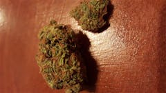 User uploaded image of Headbanger