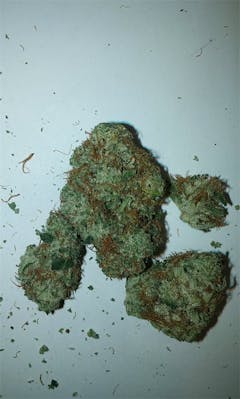 User uploaded image of Headbanger