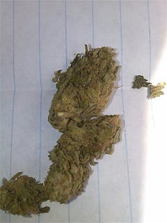 User uploaded image of Headbanger