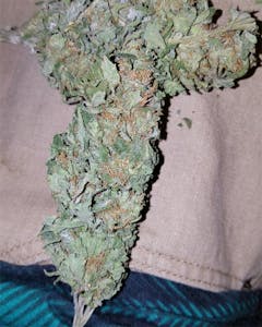 User uploaded image of Heavy Duty Fruity