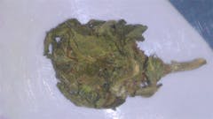 User uploaded image of Heavy Duty Fruity