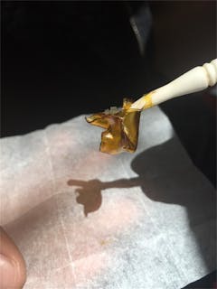 User uploaded image of Hell Raiser OG