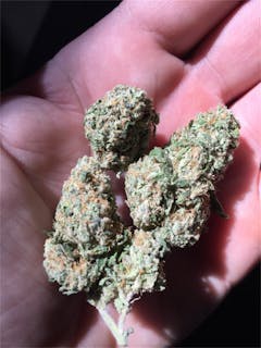 User uploaded image of Hell Raiser OG