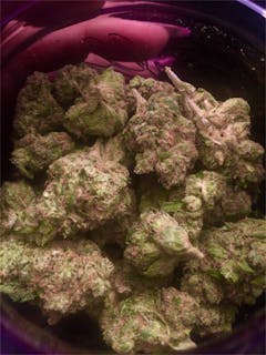 User uploaded image of Hell Raiser OG