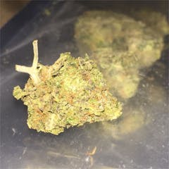 User uploaded image of Hell's OG