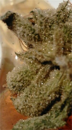 User uploaded image of Hellfire OG