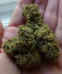 User uploaded image of Hellfire OG