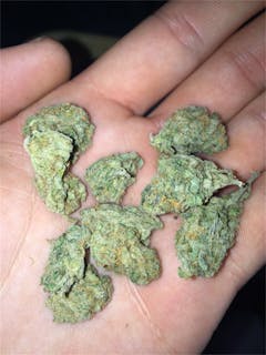 User uploaded image of Hemlock