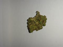 User uploaded image of Hemlock