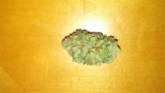 User uploaded image of Hemlock