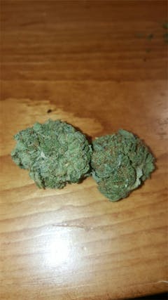 User uploaded image of Hemlock