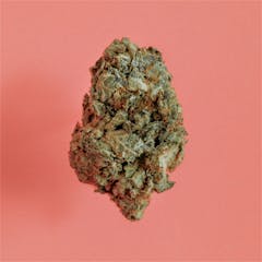 User uploaded image of Hempstar