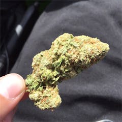 User uploaded image of Hempstar