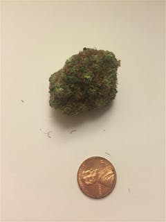 User uploaded image of Hercules