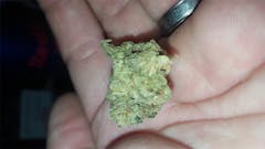 User uploaded image of Hercules