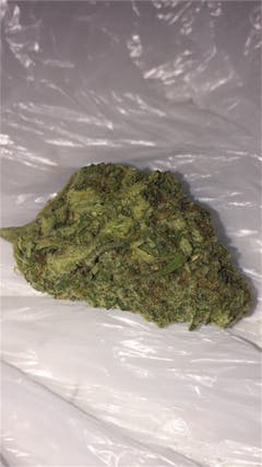 User uploaded image of Hibiscus Sunrise