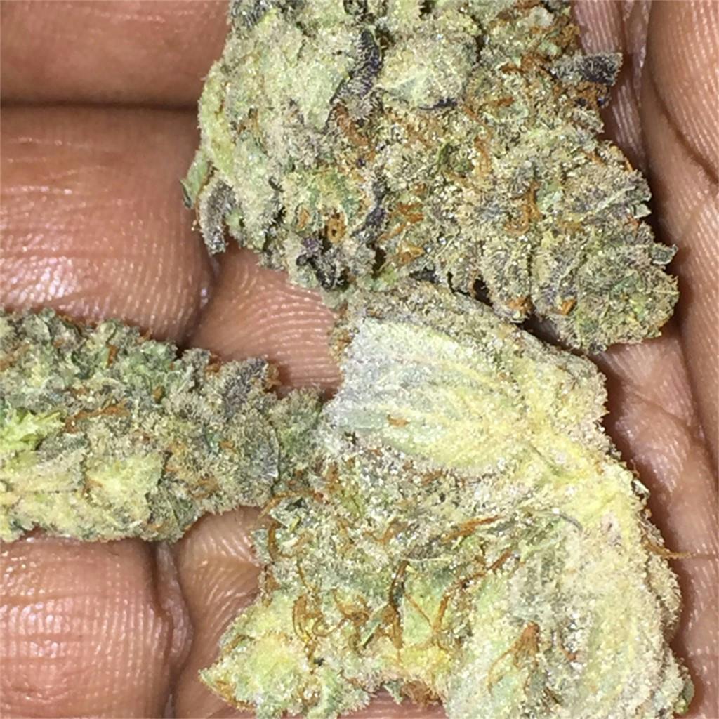 Hibiscus Sunrise Weed Strain Information | Leafly