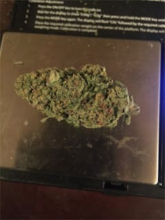 User uploaded image of Hibiscus Sunrise