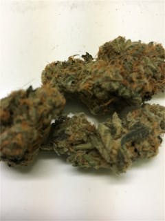 User uploaded image of Hibiscus Sunrise